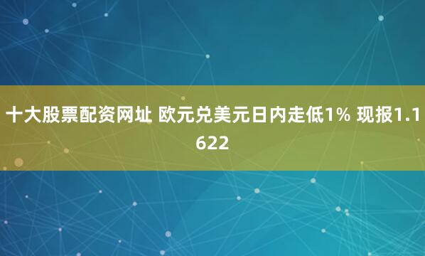 十大股票配资网址 欧元兑美元日内走低1% 现报1.1622